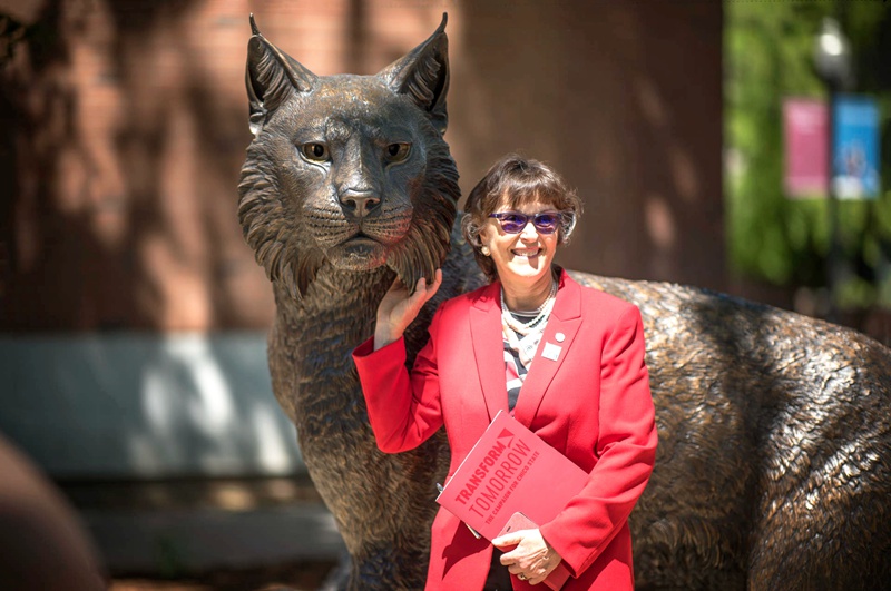 Large Bronze Wildcat Statue Outdoor Garden Decor on Sale BOKK-370 - University & School Sculpture - 1