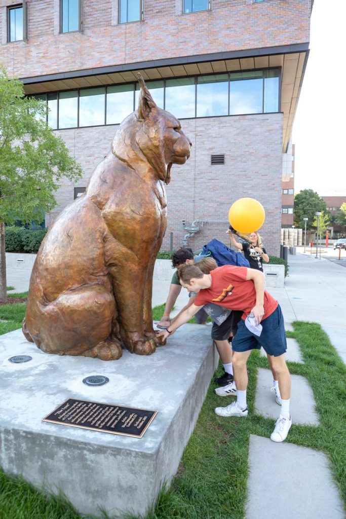 Bronze WildLife Large Lynx Statue School Mascot for Sale BOK1-552 - Bronze Wildlife Sculpture - 3