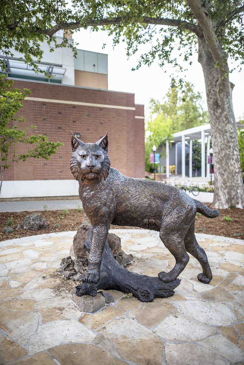 Large Bronze Wildcat Statue Outdoor Garden Decor on Sale BOKK-370 - University & School Sculpture - 5