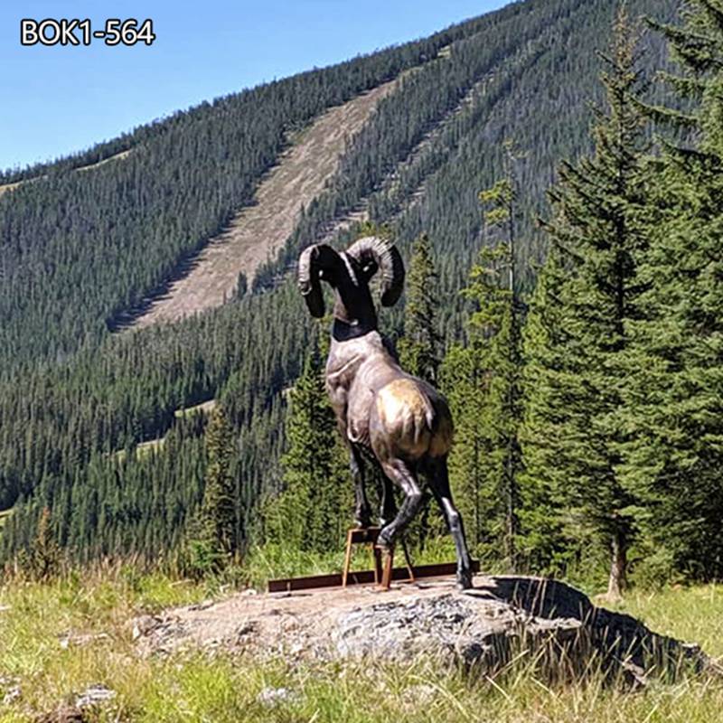 Outdoor garden decor with Big Horn Sheep