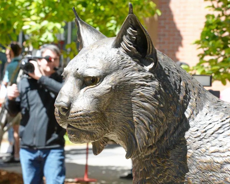Large Bronze Wildcat Statue Outdoor Garden Decor on Sale BOKK-370 - University & School Sculpture - 6