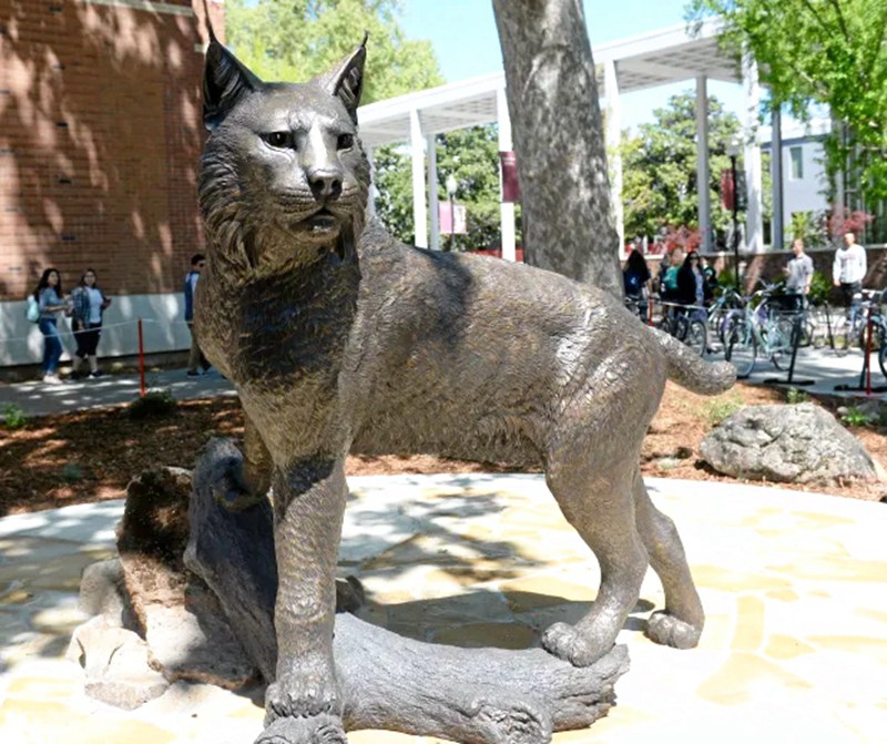 Large Bronze Wildcat Statue Outdoor Garden Decor on Sale BOKK-370 - University & School Sculpture - 3