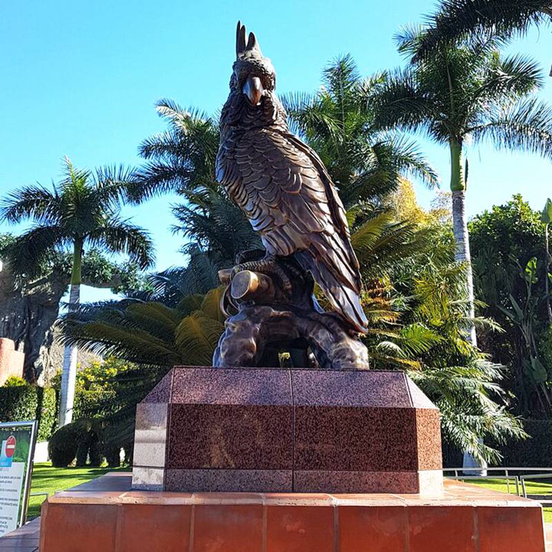 bronze parrot art statue