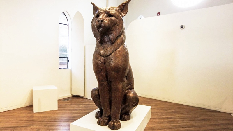 Bronze WildLife Large Lynx Statue School Mascot for Sale BOK1-552 - Bronze Wildlife Sculpture - 6