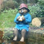 painted bronze paddington bear statue garden feedback