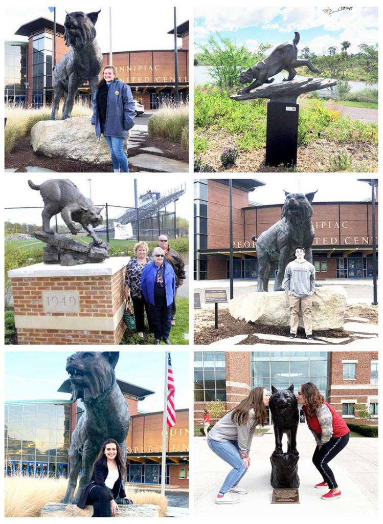 Bronze Large Bobcat Statue Wildlife School Mascot Manufacture - Bronze Wildlife Sculpture - 9