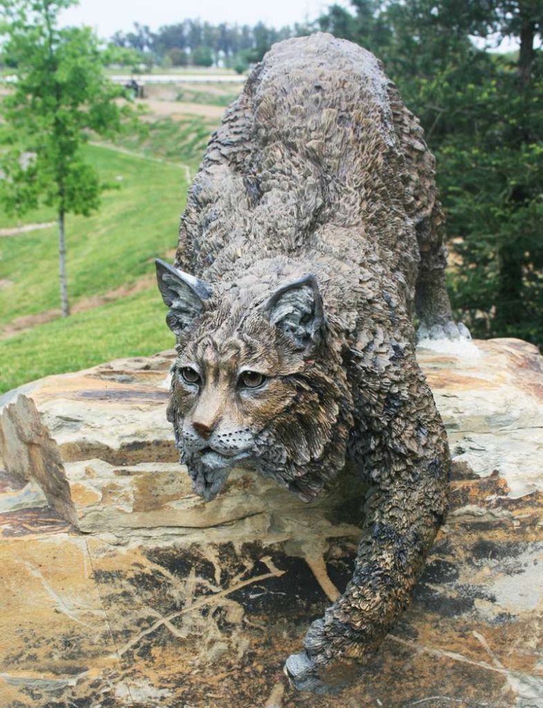 Bronze Large Bobcat Statue Wildlife School Mascot Manufacture - Bronze Wildlife Sculpture - 10