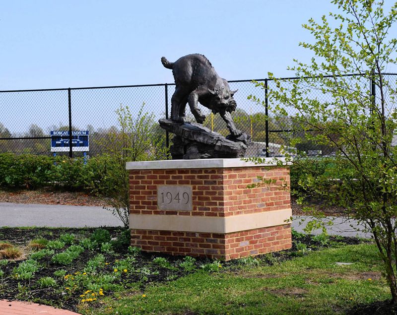 Bronze Large Bobcat Statue Wildlife School Mascot Manufacture - Bronze Wildlife Sculpture - 4