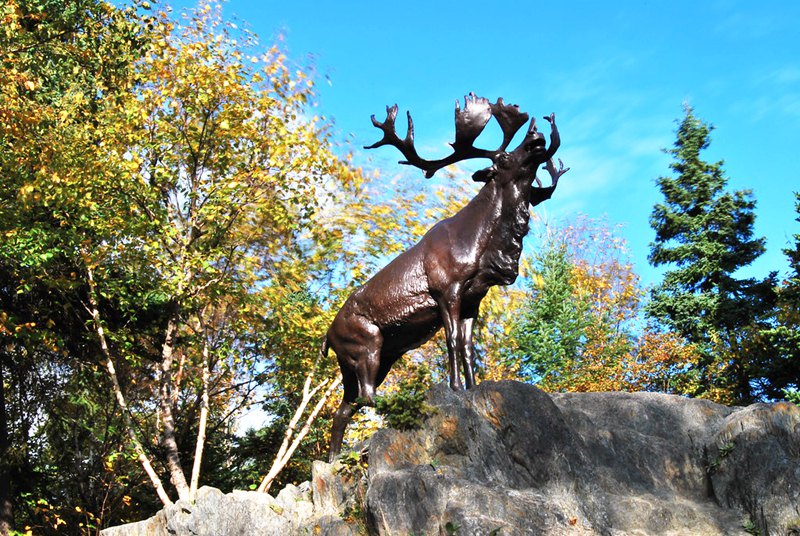 Top 16 Most Popular Bronze Wildlife Sculptures in America - Blog - 2