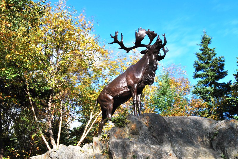 Top 16 Most Popular Bronze Wildlife Sculptures in America - Blog - 2
