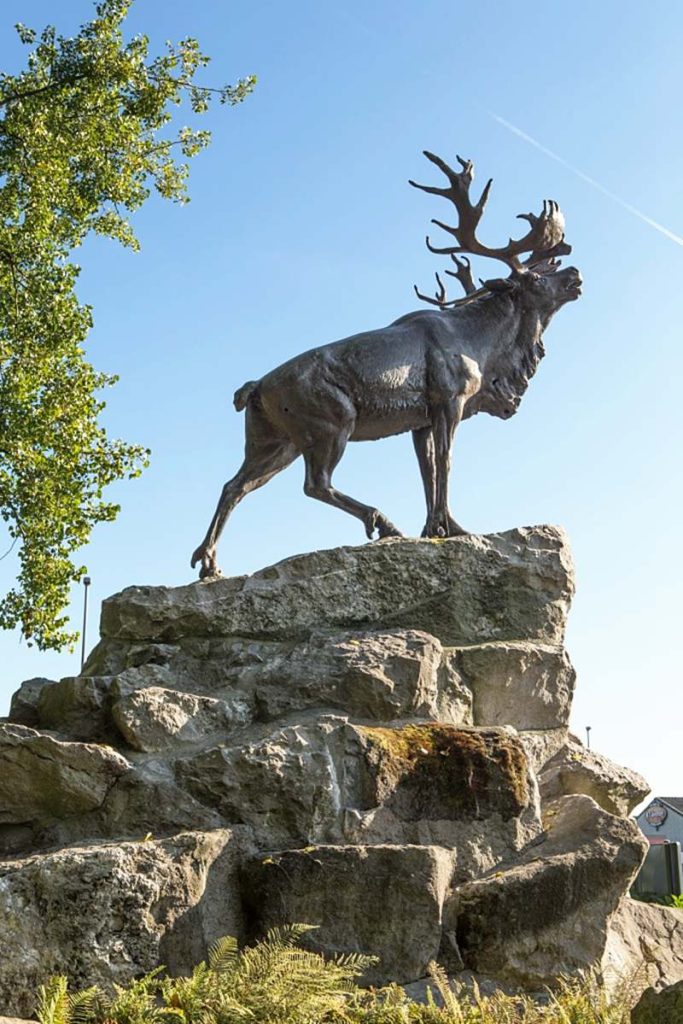 Top 16 Most Popular Bronze Wildlife Sculptures in America - Blog - 25