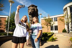 Top 10 Stunning Outdoor Bronze Lion Statue School Mascots