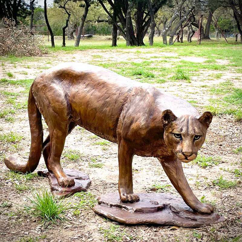 Bronze North American Cougar
