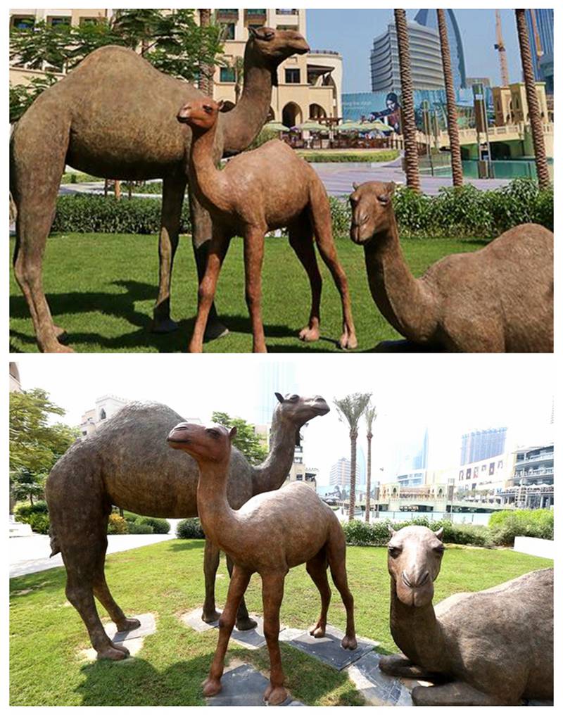 Life Size Standing Bronze Camel Animal Sculpture Artwork Decor - Other Animal sculptures - 8