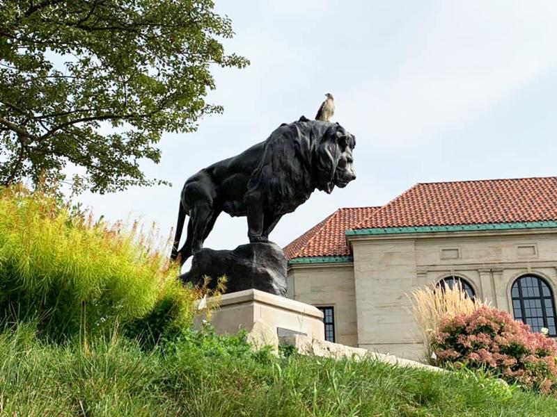 Top 10 Stunning School Mascots Outdoor Lion Statue - Blog - 13