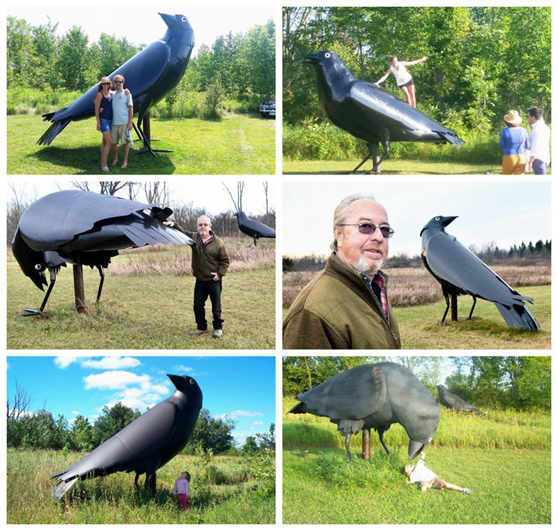 Large Bronze Raven Wildlife Statue Outdoor Decor - Bronze Wildlife Sculpture - 7