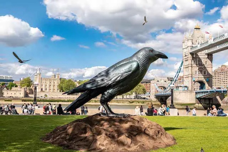 Large Bronze Raven Wildlife Statue Outdoor Decor - Bronze Wildlife Sculpture - 3