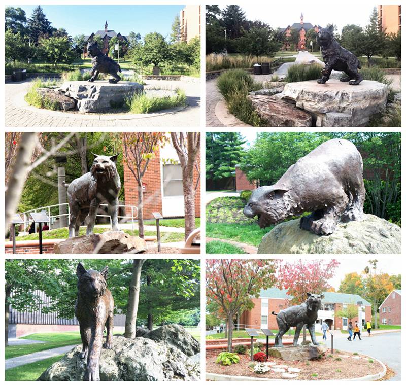 Bronze Large Bobcat Statue Wildlife School Mascot Manufacture - Bronze Wildlife Sculpture - 5