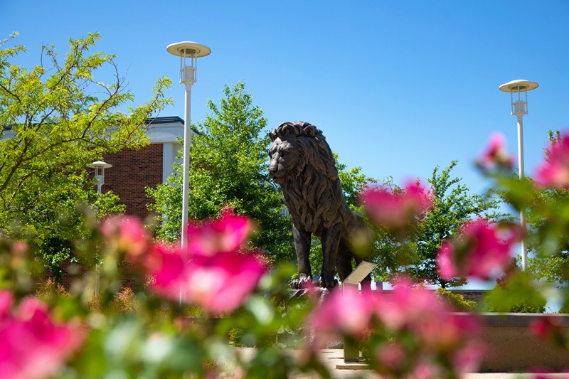 Top 10 Stunning School Mascots Outdoor Lion Statue - Blog - 7