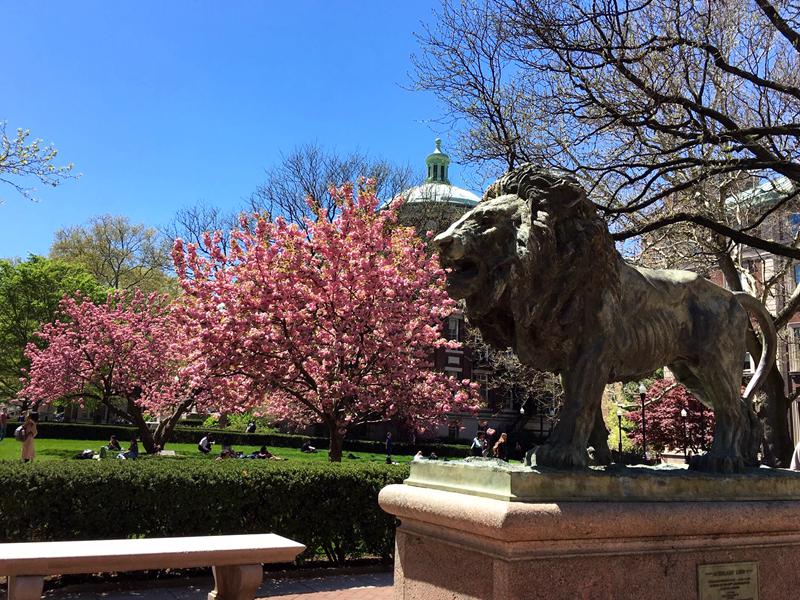Top 10 Stunning School Mascots Outdoor Lion Statue - Blog - 4