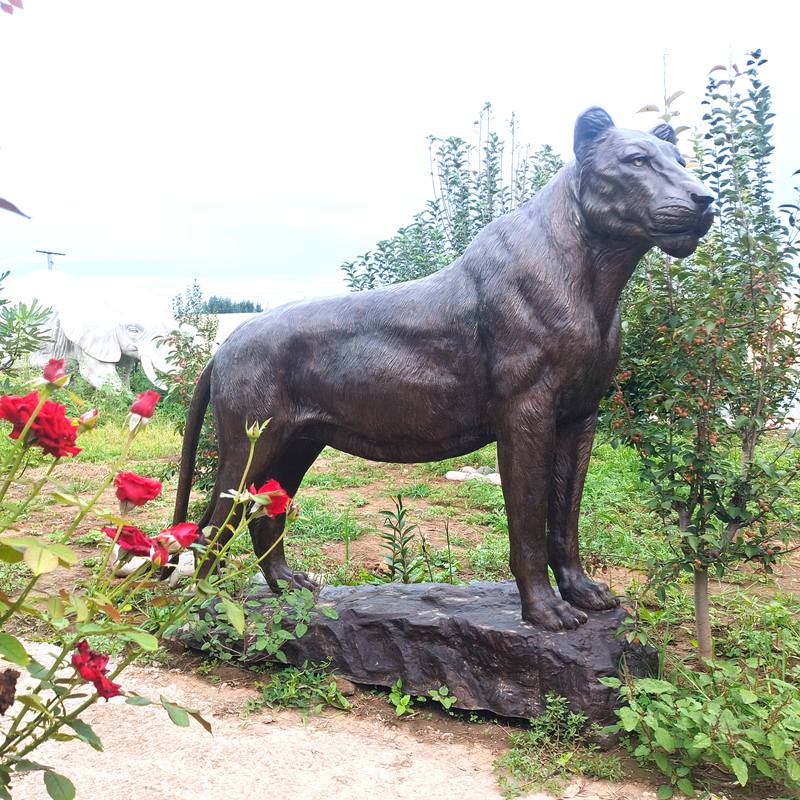 bronze Lioness sculpture