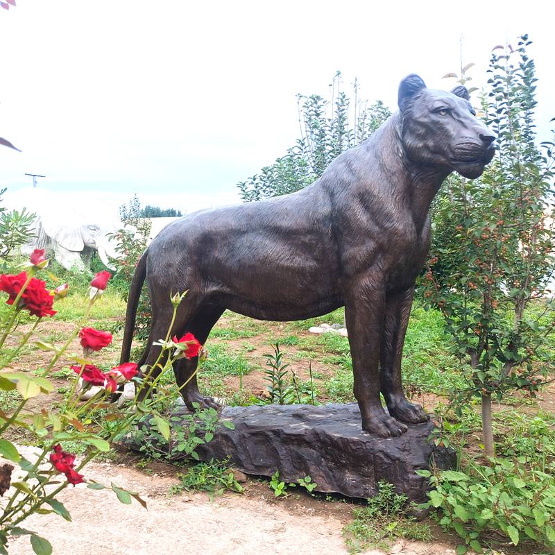 Bronze Outdoor Lion Statues for Sale -  - 17