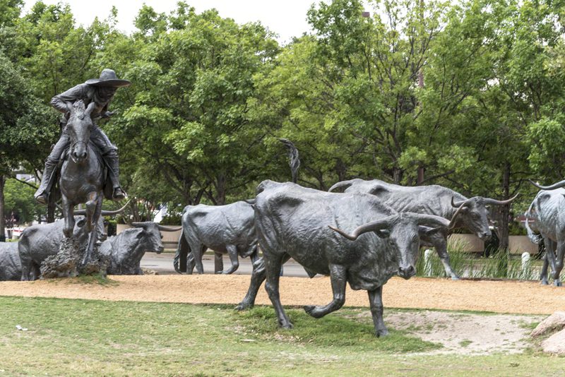 Cattle bronze statue