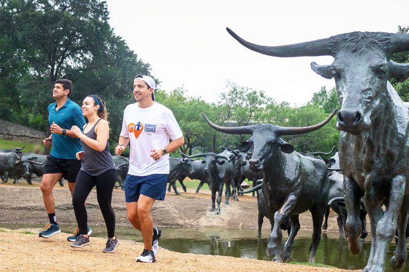 Cattle statue