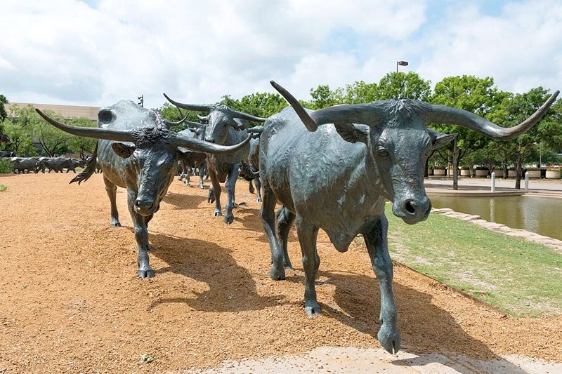 large Cattle sculpture