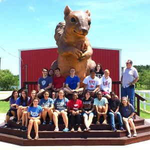 Large Bronze Squirrel Garden Statue Wildlife Animal Art Factory Supplier