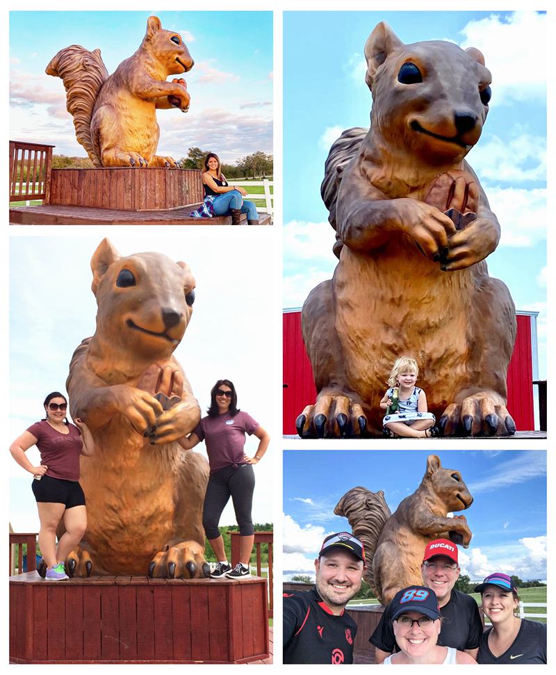 Large Bronze Squirrel Garden Statue Wildlife Animal Art Factory Supplier - Bronze Wildlife Sculpture - 2