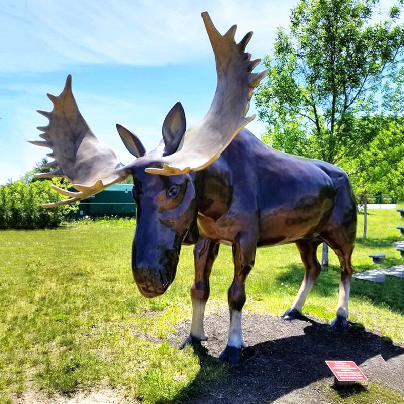 Bronze full size moose statue