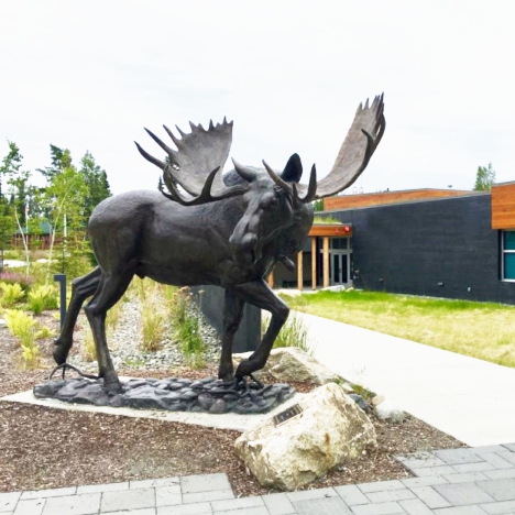 Bronze sculpture moose