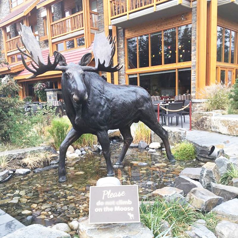 Large jaw moose statue