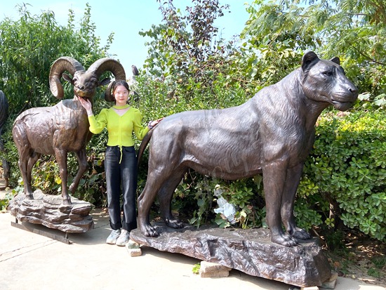 Bronze Animal Statue Projects -  - 10