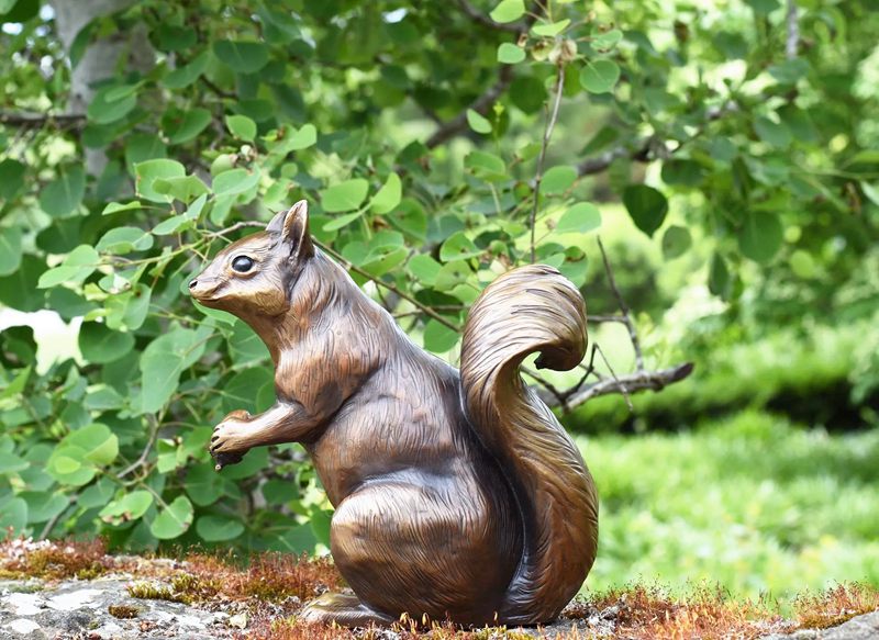 Large Bronze Outdoor Squirrel Sculpture for Garden Foundry Supplier - Bronze Wildlife Sculpture - 9
