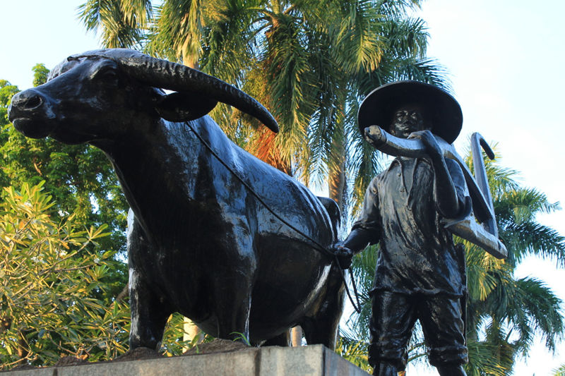 Outdoor High Quality Bronze Buffalo Statue for Sale - Other Animal sculptures - 5