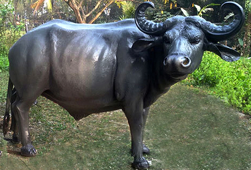 Life Size Bronze Buffalo Sculpture Park Ornament for Sale - Bronze Buffalo Statue - 1