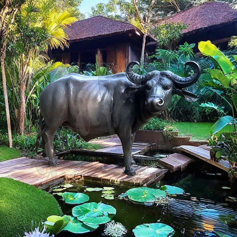 Life Size Bronze Buffalo Sculpture Park Ornament for Sale - Bronze Buffalo Statue - 5