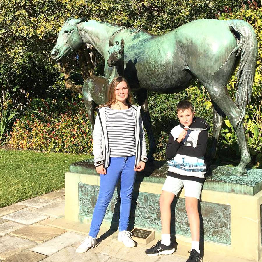 statue mare and foal lawn art