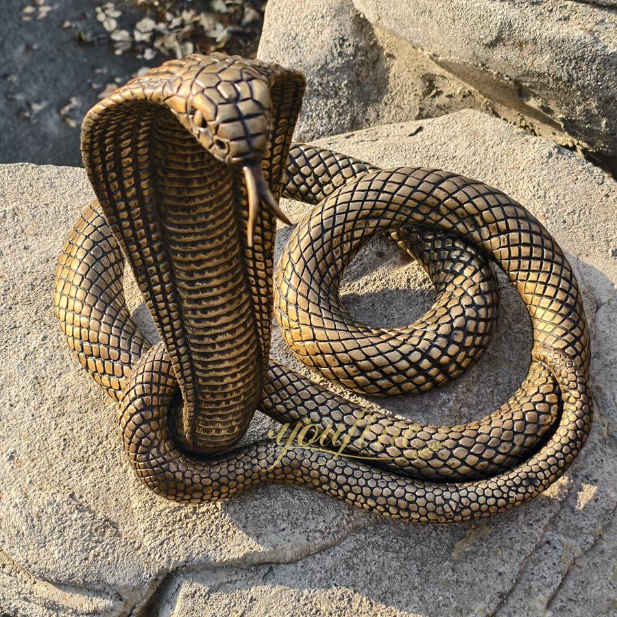 Lifelike Coiled and Rearing Bronze Cobra Statue BAN-425 - Bronze Wildlife Sculpture - 3