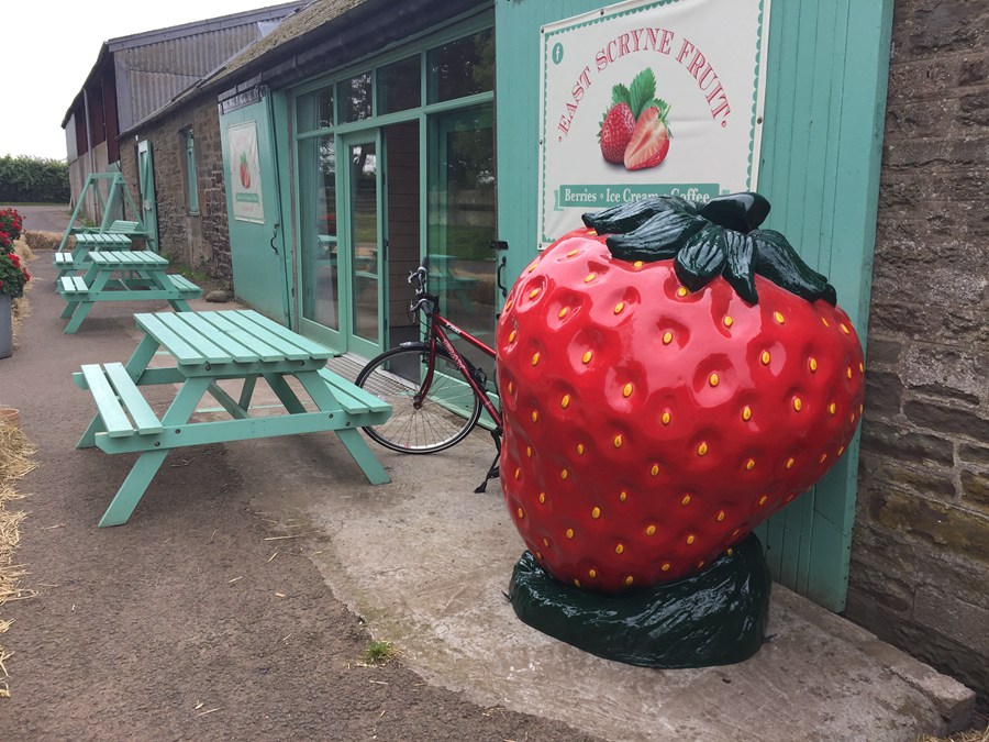 Large Fiberglass Strawberry Sculpture - Fiberglass Statue - 3