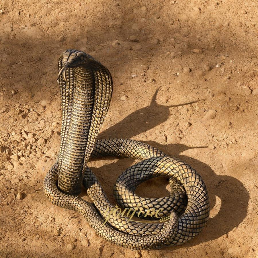 Lifelike Coiled and Rearing Bronze Cobra Statue BAN-425 - Bronze Wildlife Sculpture - 4
