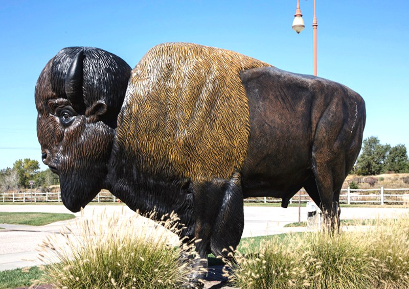 Bronze American Standing Bison Statue for Sale BOK1-004 - Bronze Buffalo Statue - 3
