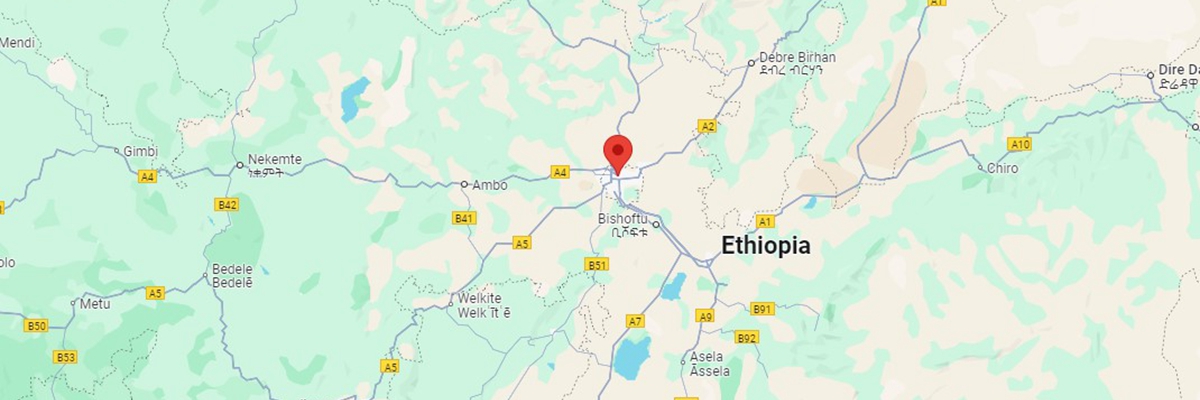 Ethiopian Prime Minister Statue Project -  - 2