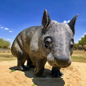 Bronze Giant Wombat Statue BAN-521