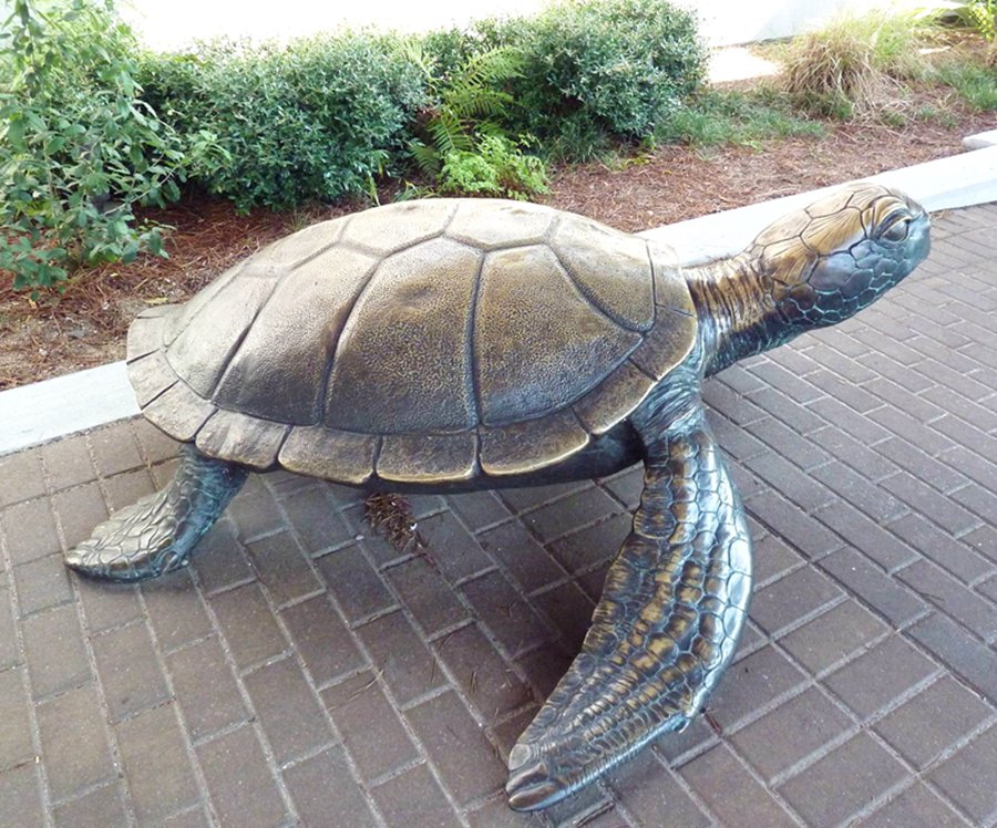 Coral Sea Turtle Sculpture