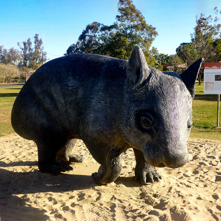 Bronze Giant Wombat Statue BAN-521 - Bronze Animal Sculpture - 3