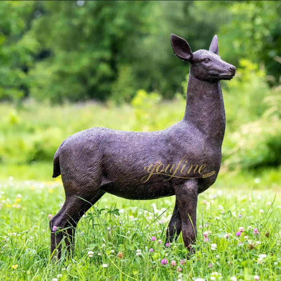 Whitetail Deer Placed in Hunting Grounds
