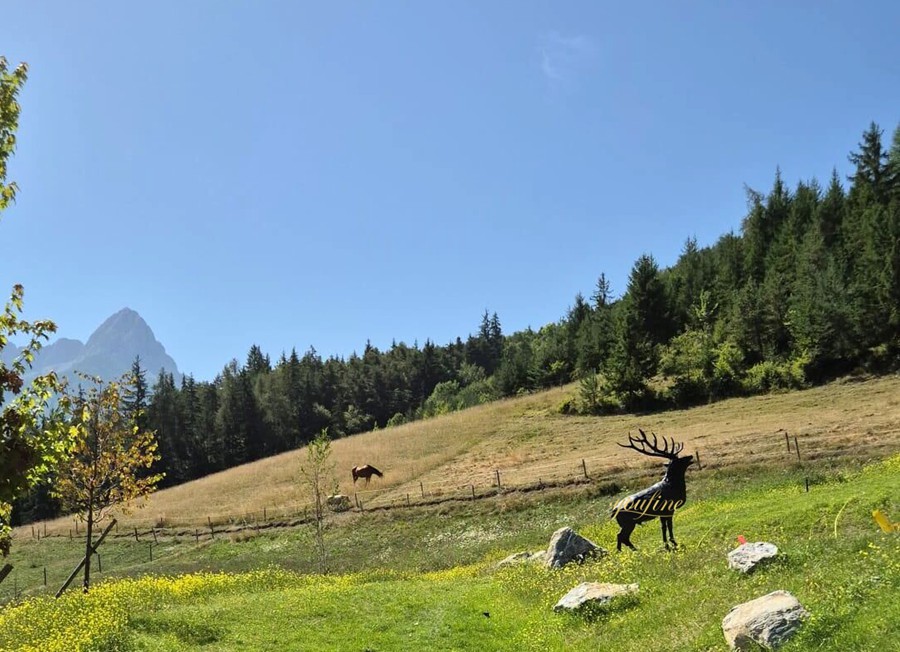 Elk sculpture on the hillside